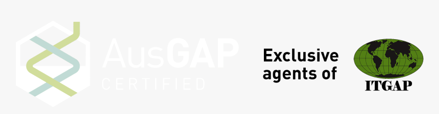 Ausgap Certified - Beige, HD Png Download