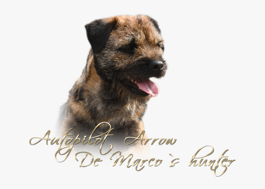 Bebe - Dog Yawns, HD Png Download