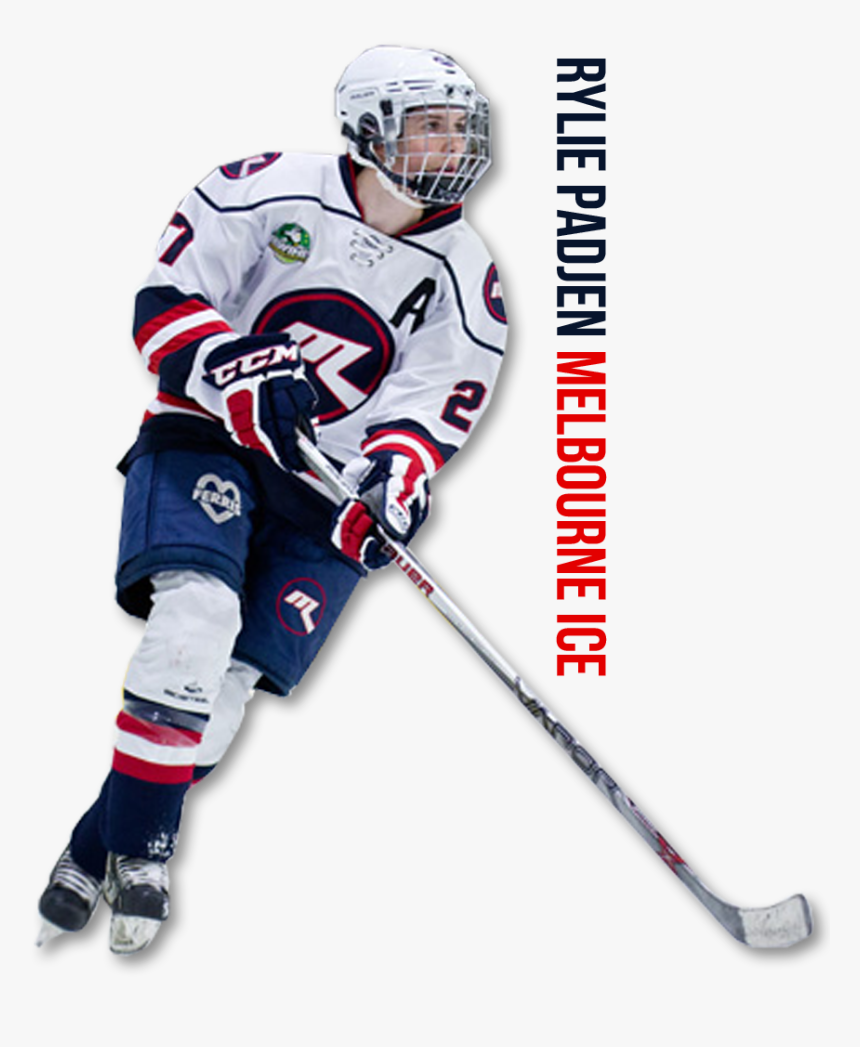 Transparent Hockey Player Png - College Ice Hockey, Png Download