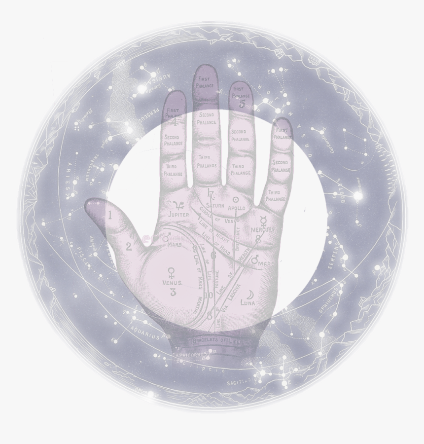 Quiromancia, HD Png Download