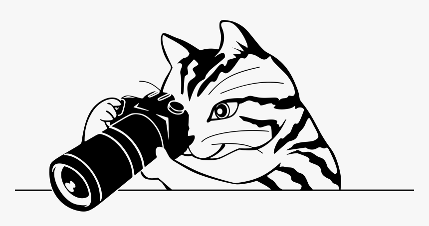 Art,monochrome Photography,carnivoran - Photography Clipart Black And White, HD Png Download