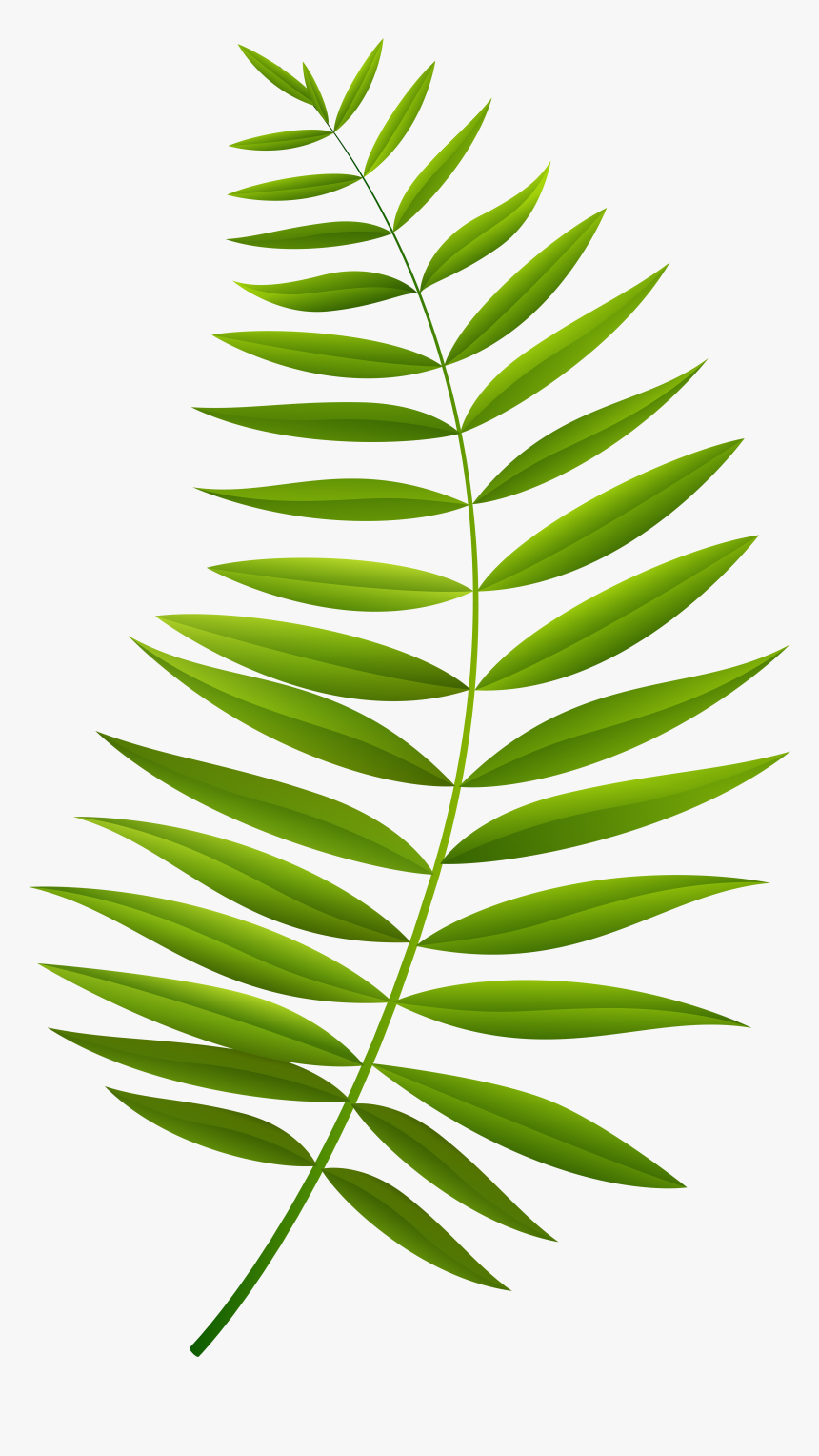 Palm Branch Transparent Clip Art Imageu200b Gallery Palm Leaf Cartoon Png Png Download Transparent Png Image Pngitem