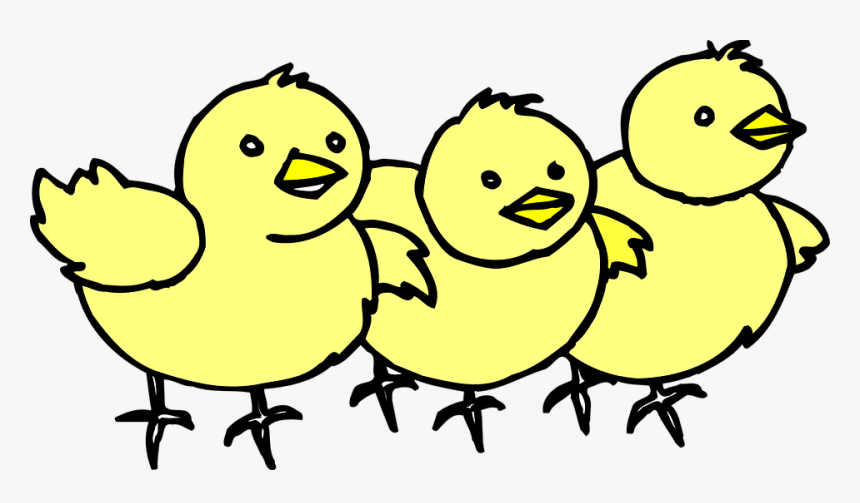 Chick Clipart Lpsk - Chicks Clipart, HD Png Download