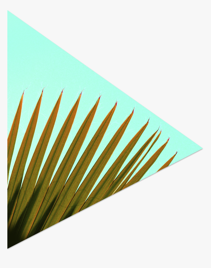 Paper , Png Download - Paper, Transparent Png