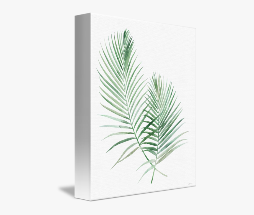 Pond Pine, HD Png Download