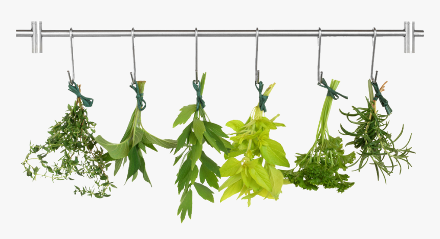 Herb Png Pic - Herb Png, Transparent Png