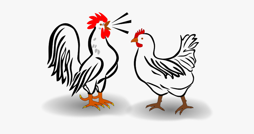 Rooster And Painting Books - Arabic Word Of Cock, HD Png Download