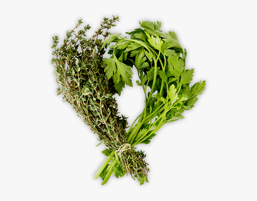 Herbs Png, Transparent Png