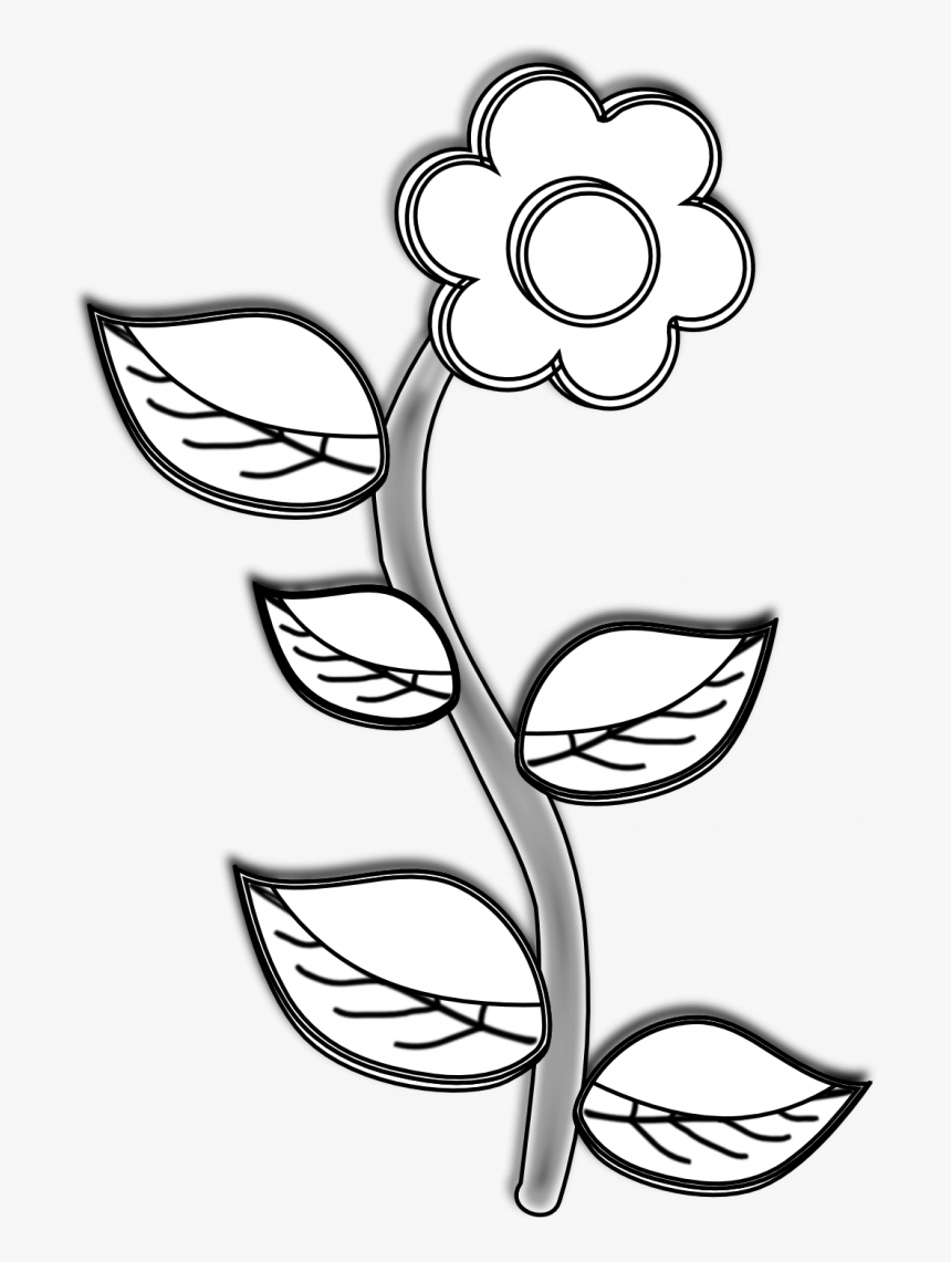 Medium Size Of Line Drawing Animals Clipart Camera - Plant In Black And White, HD Png Download