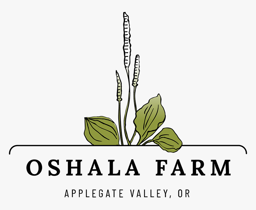 Oshala Logo Color - Herb Farm Logo, HD Png Download