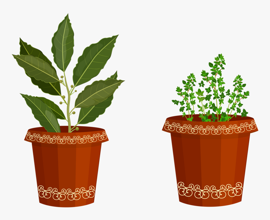 Herb Garden Clipart Cliparthut Free Clipart - Clip Art, HD Png Download