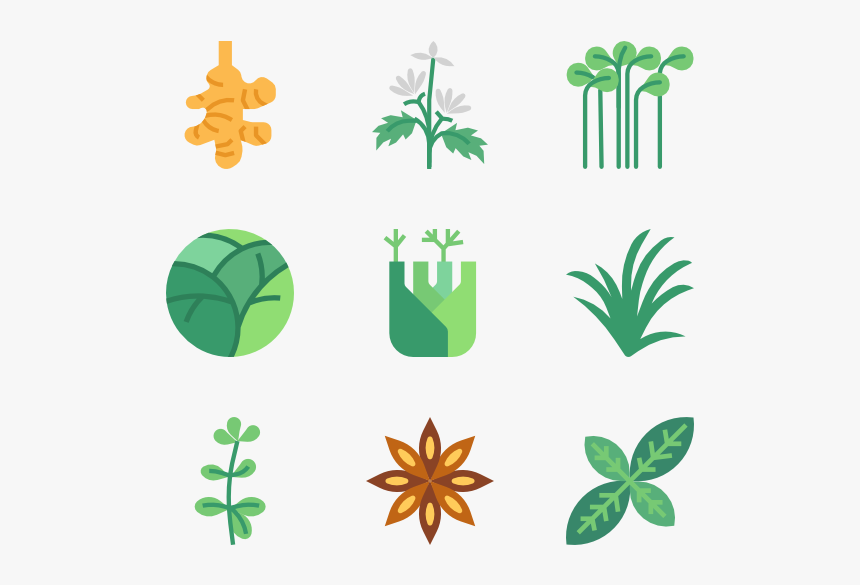 Essential Set - Herb Icon, HD Png Download