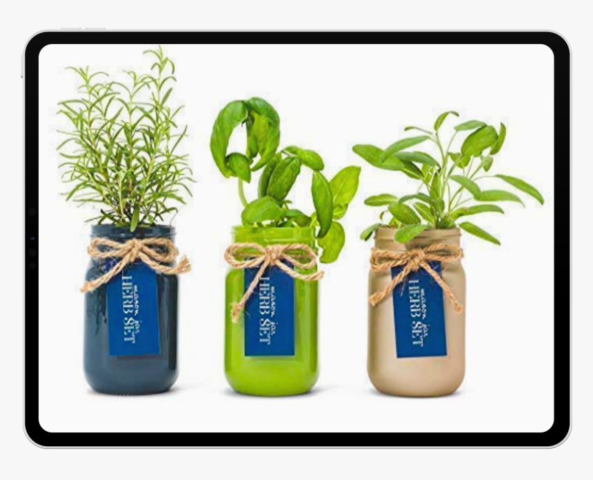 Mason Jar Herb, HD Png Download