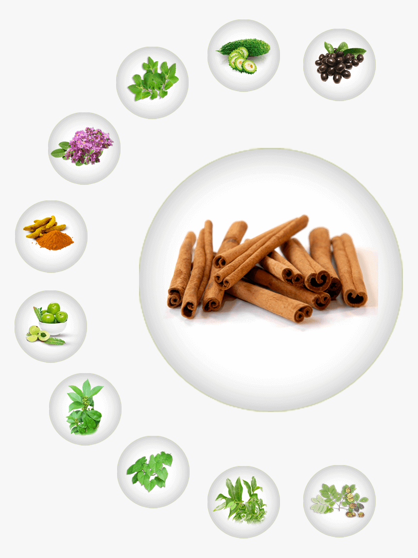 Cinnamon - Dalchina Chekka, HD Png Download