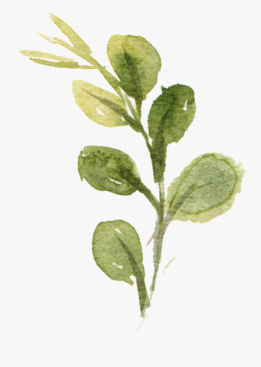 This Graphics Is Watercolor Hand Drawn Leaf Png About - Leaves Free Watercolor Png, Transparent Png