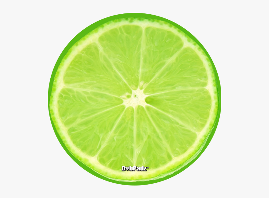 Lime Slice Dabpadz - Lime Slice, HD Png Download