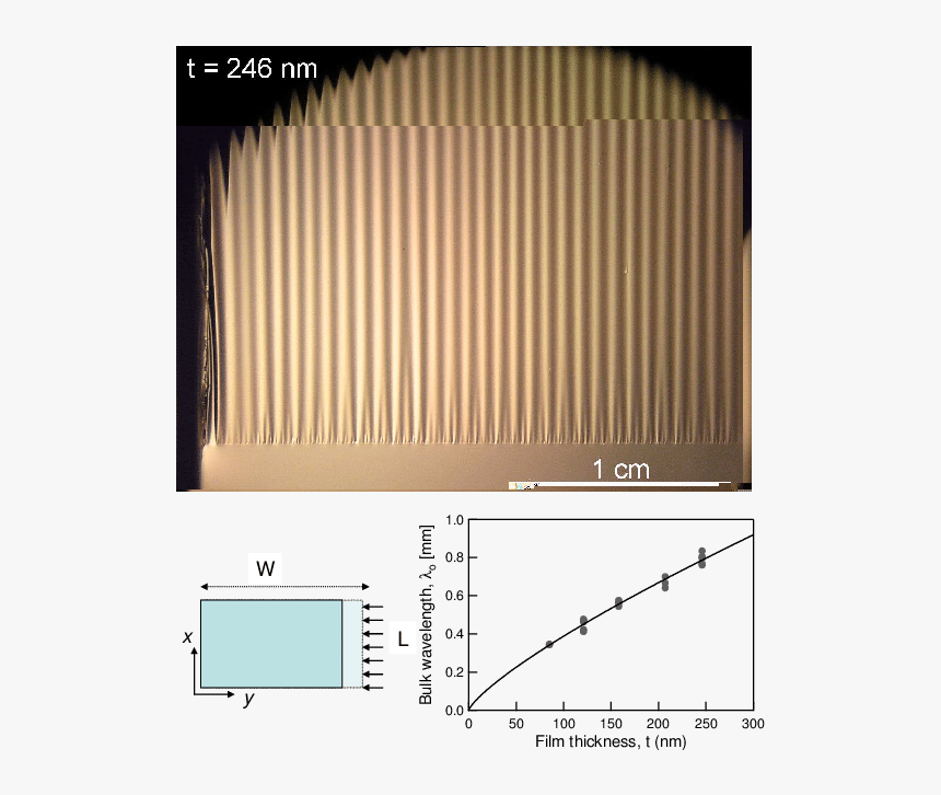 Diagram, HD Png Download