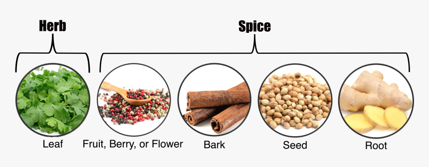 Herbs Vs Spices, HD Png Download
