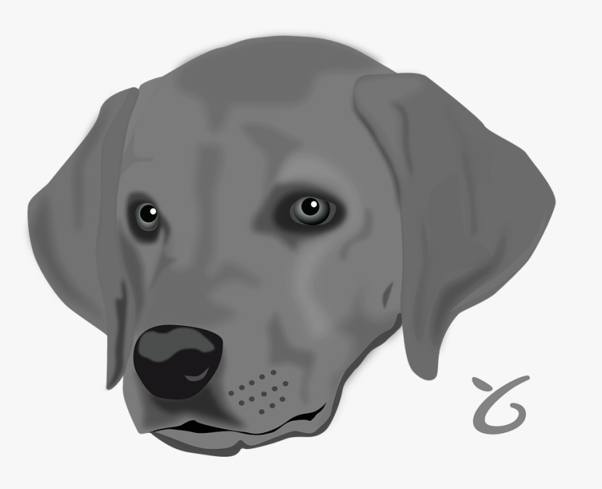 Dog, Pet, Head, Animal - Dog Head Clip Art, HD Png Download