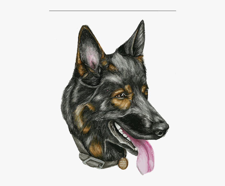 Head Dog Vector Png, Transparent Png