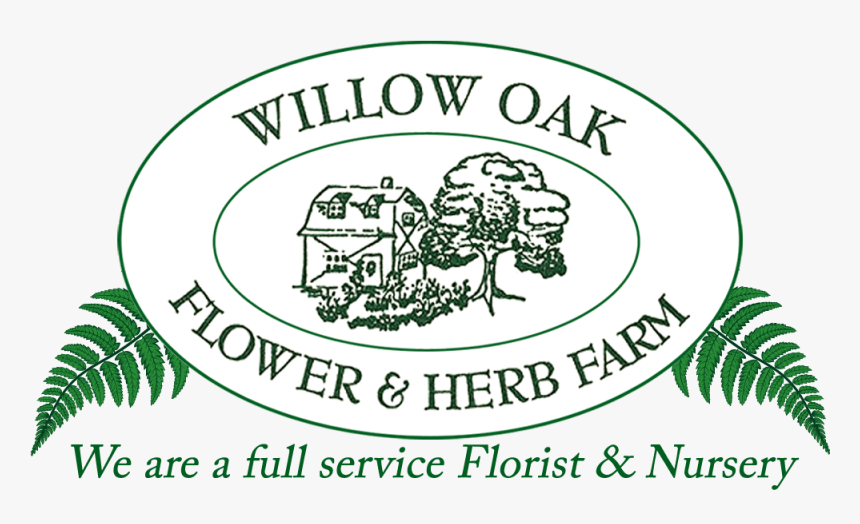 Willow Oak Flower & Herb Farm - School, HD Png Download