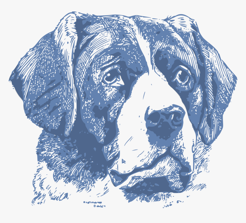 Dog Show Advertisement, HD Png Download