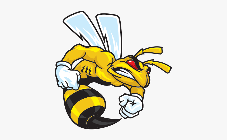 Printed Vinyl Wasp Stickers - Ski Doo Bee, HD Png Download