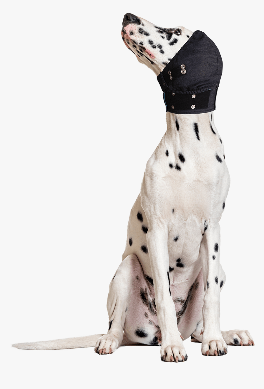 Mps Head Cover, HD Png Download