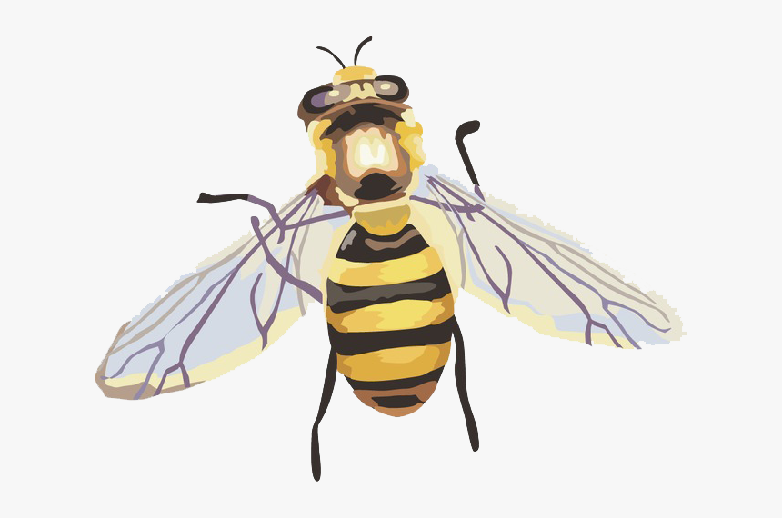 Transparent Hornet Png - Abelha Png Imagem, Png Download