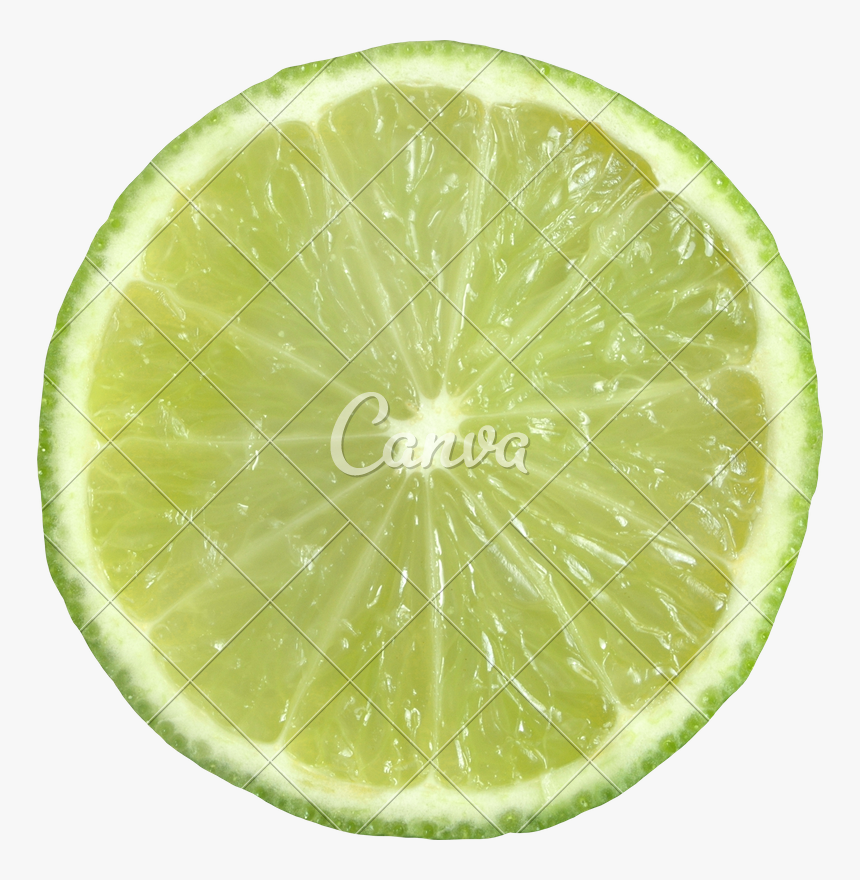 Clip Art Sliced Lime - Key Lime, HD Png Download