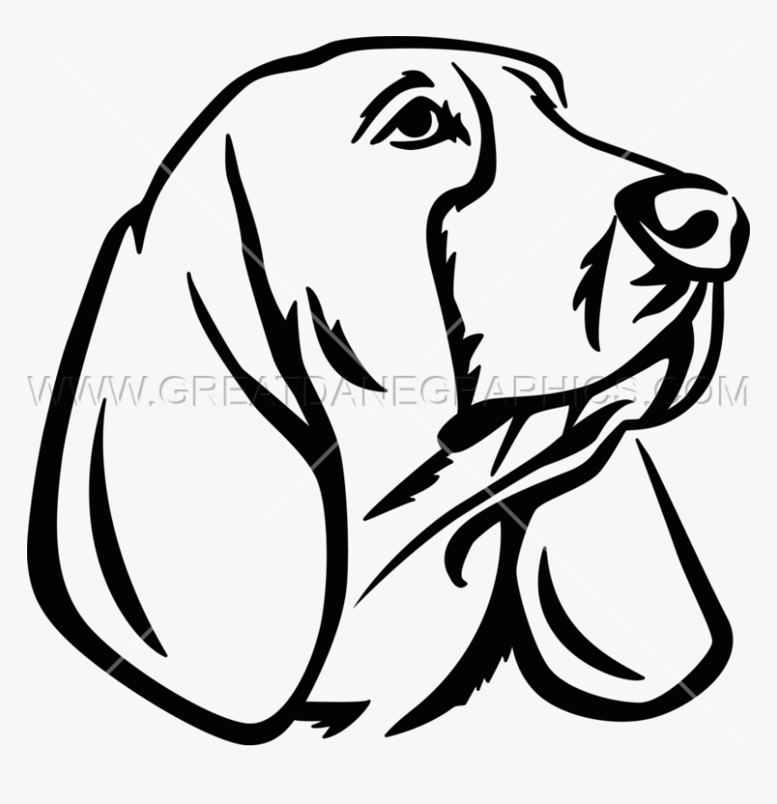 Basset Hound Clipart Head - Basset Hound Drawing Easy, HD Png Download