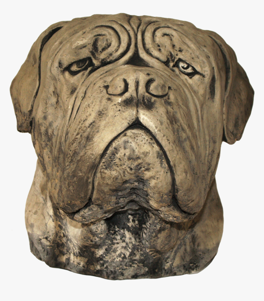Large Dog Head , Png Download - Bullmastiff, Transparent Png