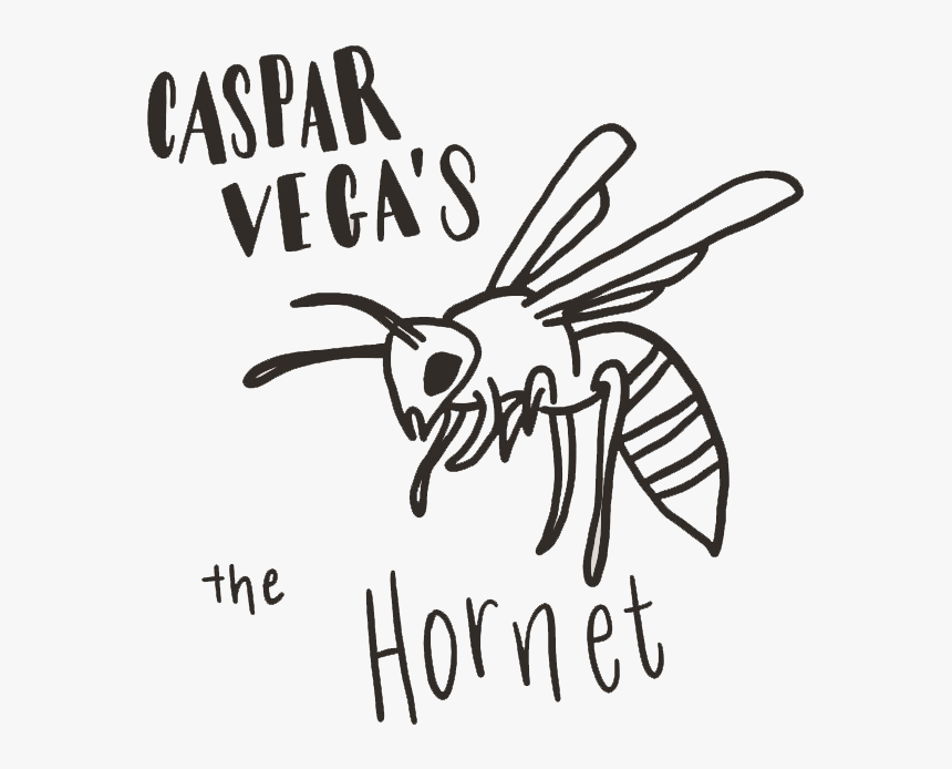 Membrane-winged Insect, HD Png Download