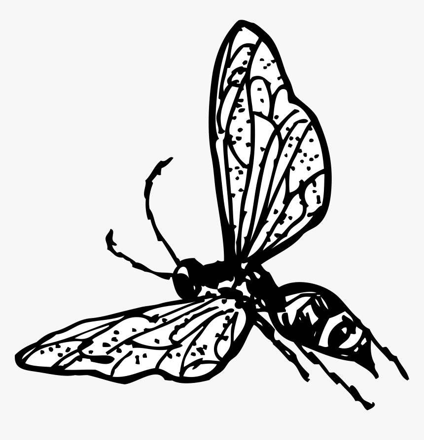 Wasp At Clker Com - Wasp Clip Art, HD Png Download