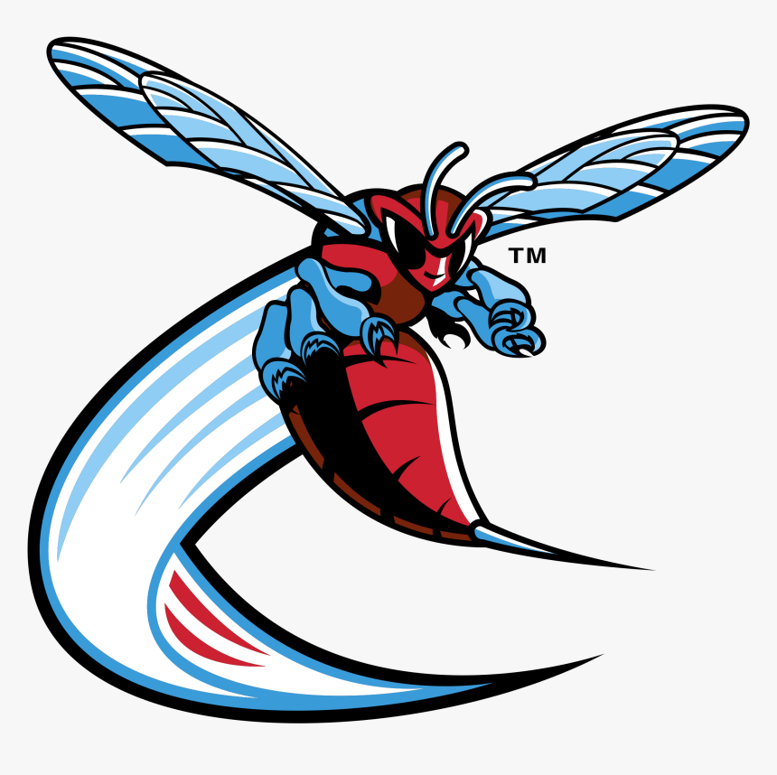 Delaware State University Hornets Logo, HD Png Download