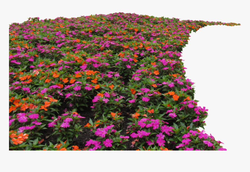 69, Wallpapers V - Transparent Flower Bed Png, Png Download