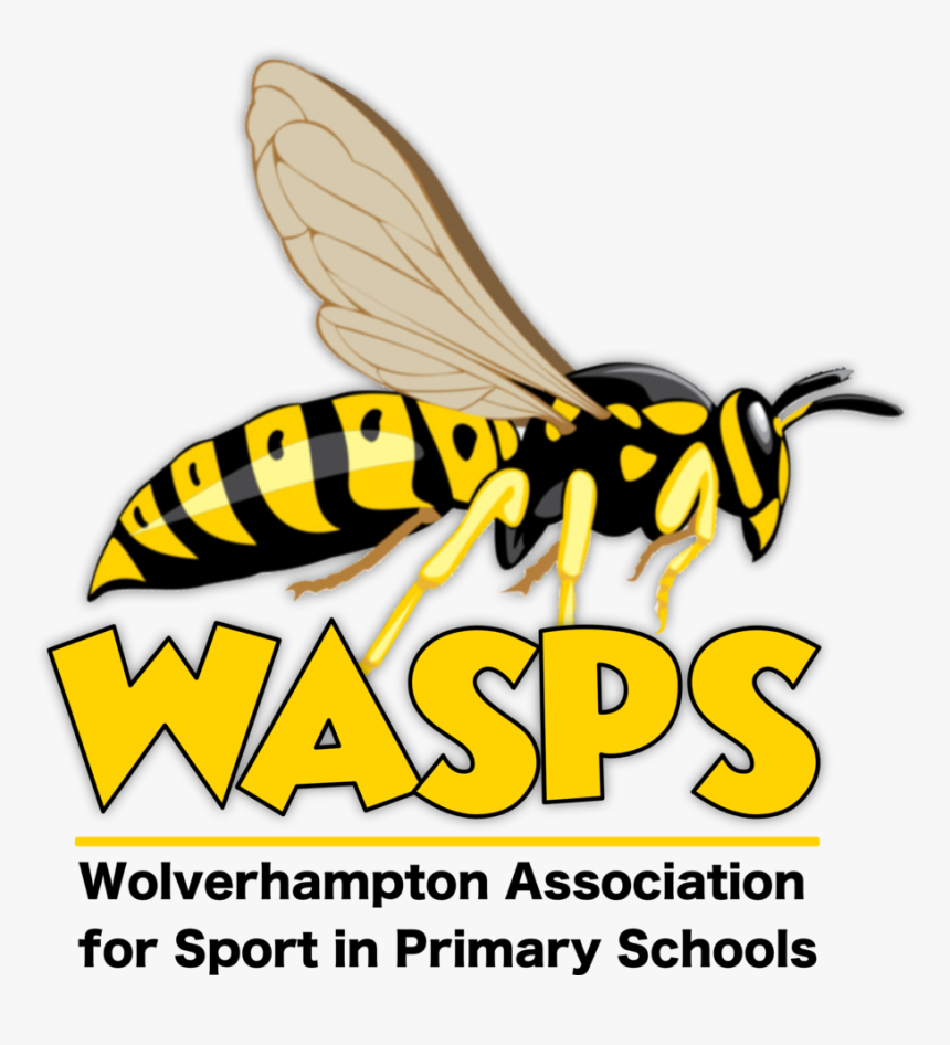 Transparent Hornet Png, Png Download