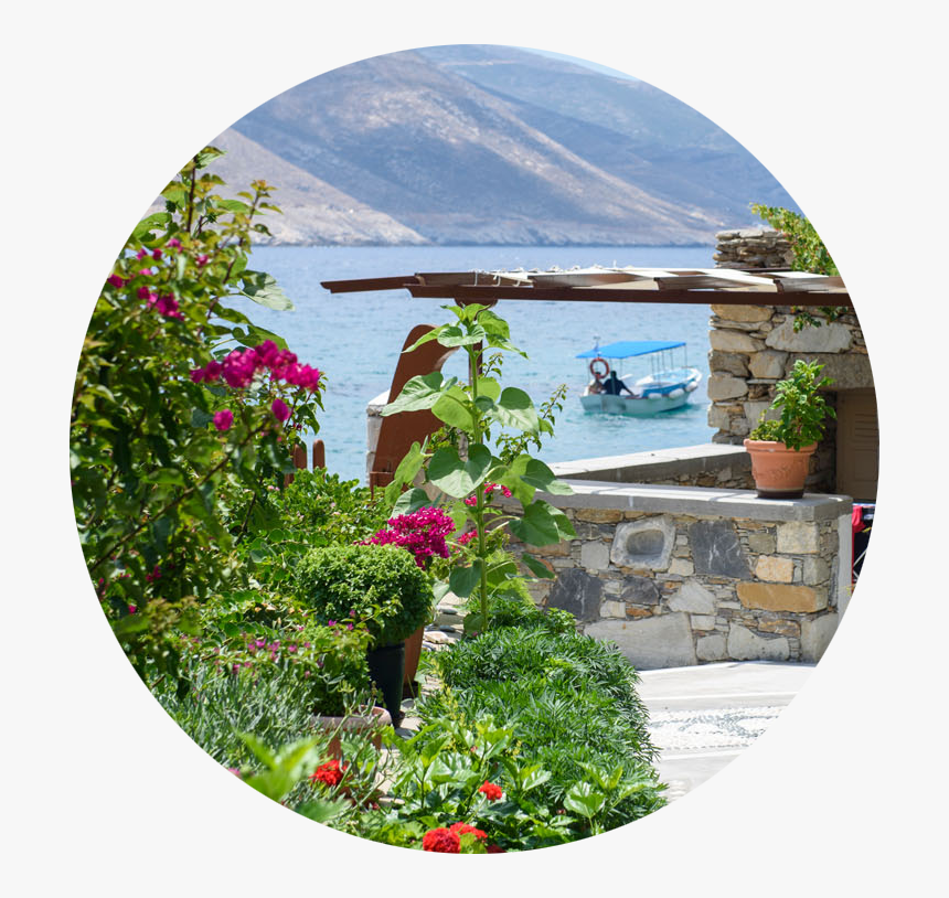 Transparent Flower Bed Png - Rose, Png Download