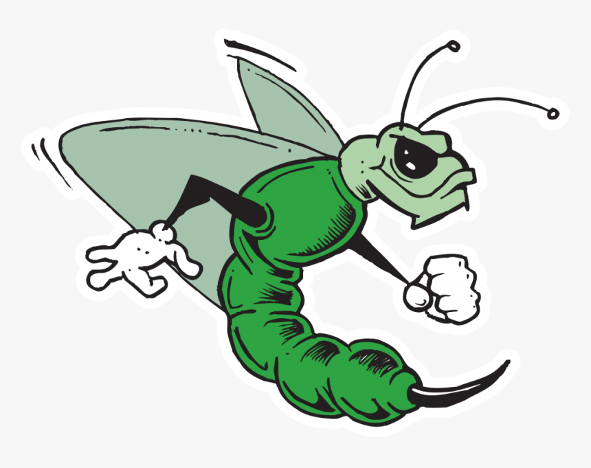 Green Hornet Landscaping - Hd Transparent Images Of The Green Hornet, HD Png Download