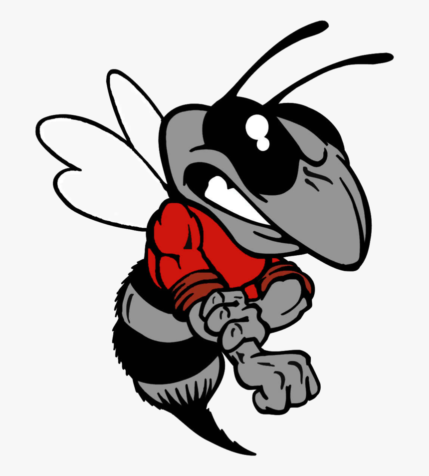 Transparent Hornet Mascot Clipart - Hancock County High School Hornets, HD Png Download