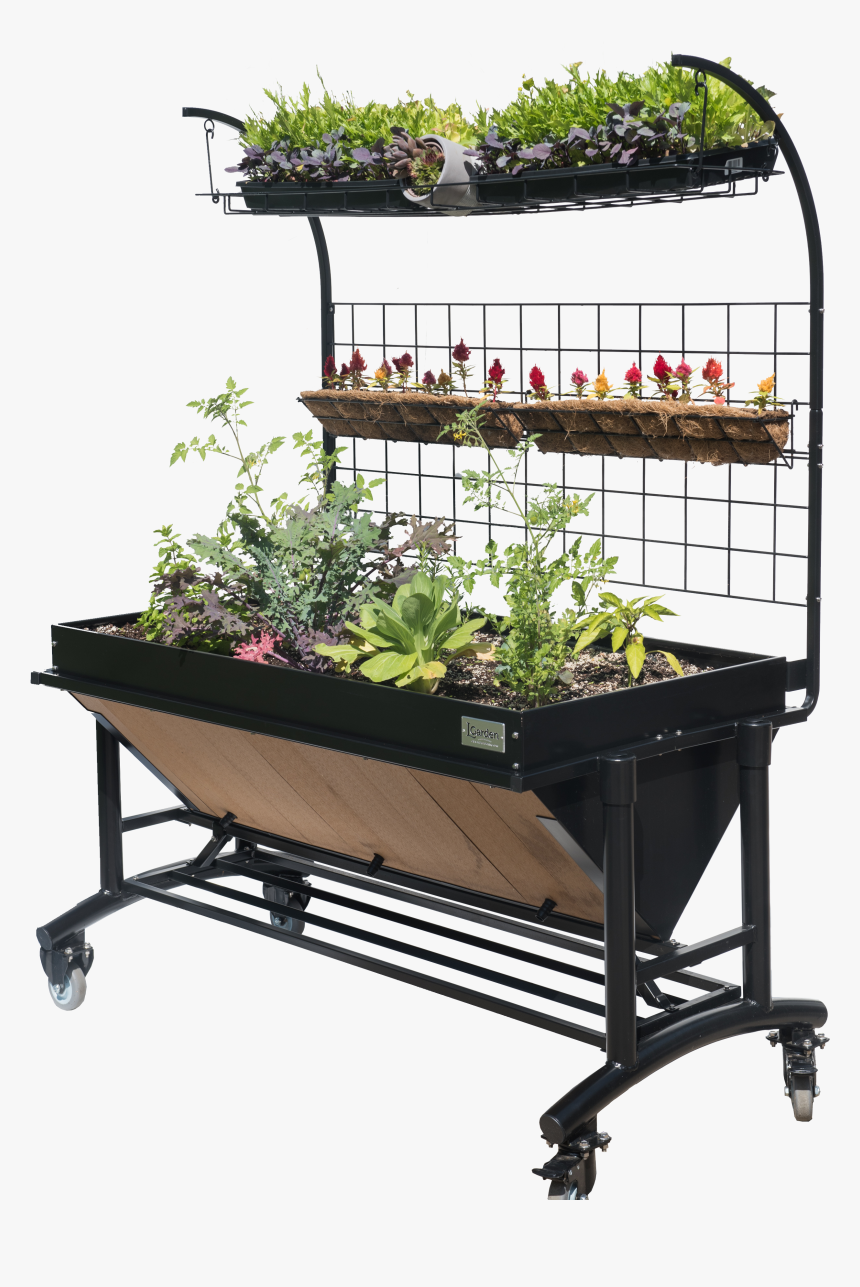 Houseplant, HD Png Download