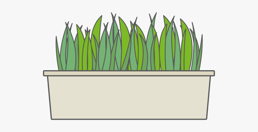 Flowerbed Clipart, HD Png Download