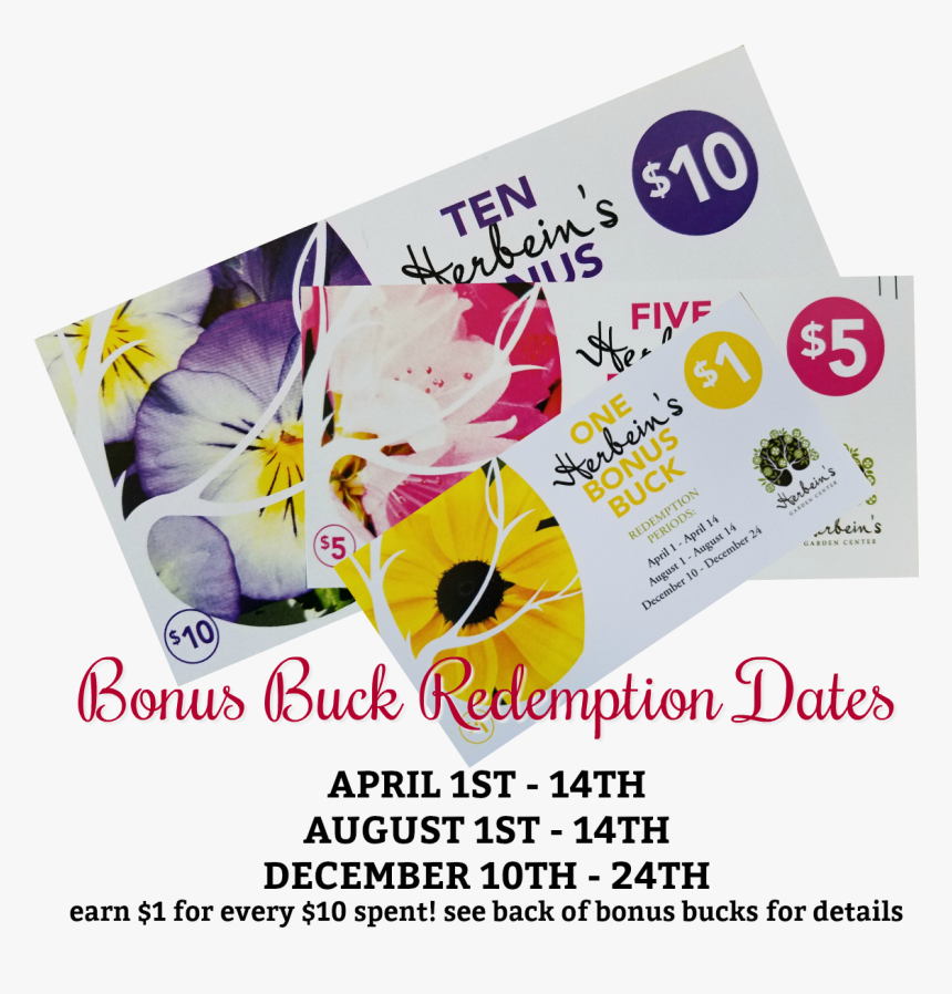 Bonus Bucks Redemption Dates Herbeins Garden Center - Viola, HD Png Download
