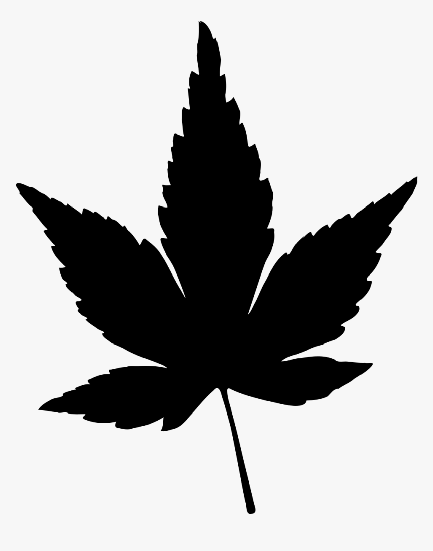 Japanese Maple Leaf Vector - Japanese Maple Leaf Silhouette, HD Png Download