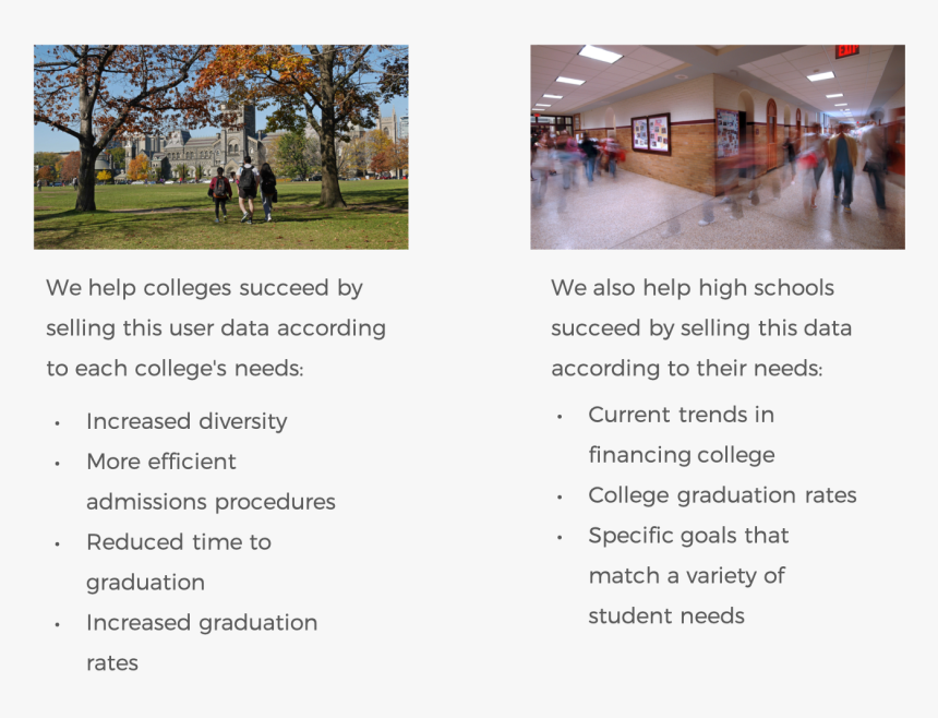 Tree, HD Png Download