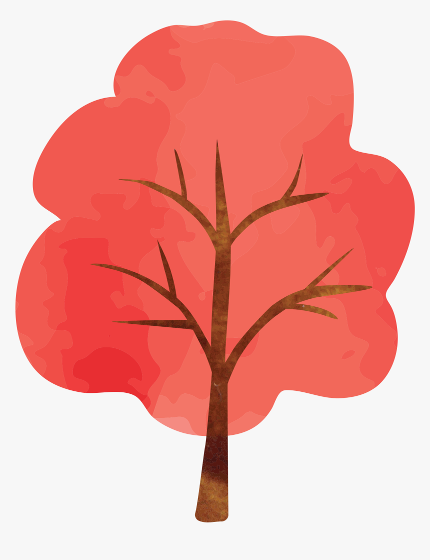 Red Maple Photography - Illustration, HD Png Download