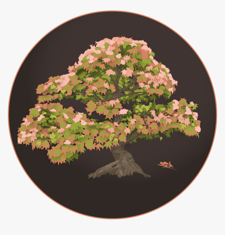 Bonsai, HD Png Download