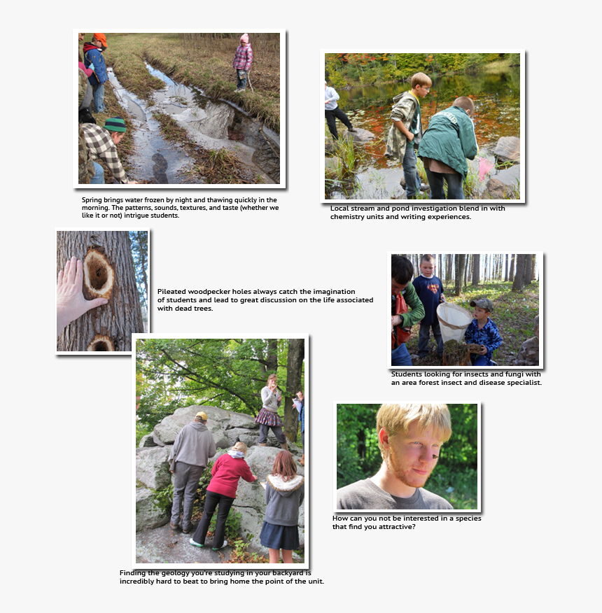 Collage1 - Tree, HD Png Download