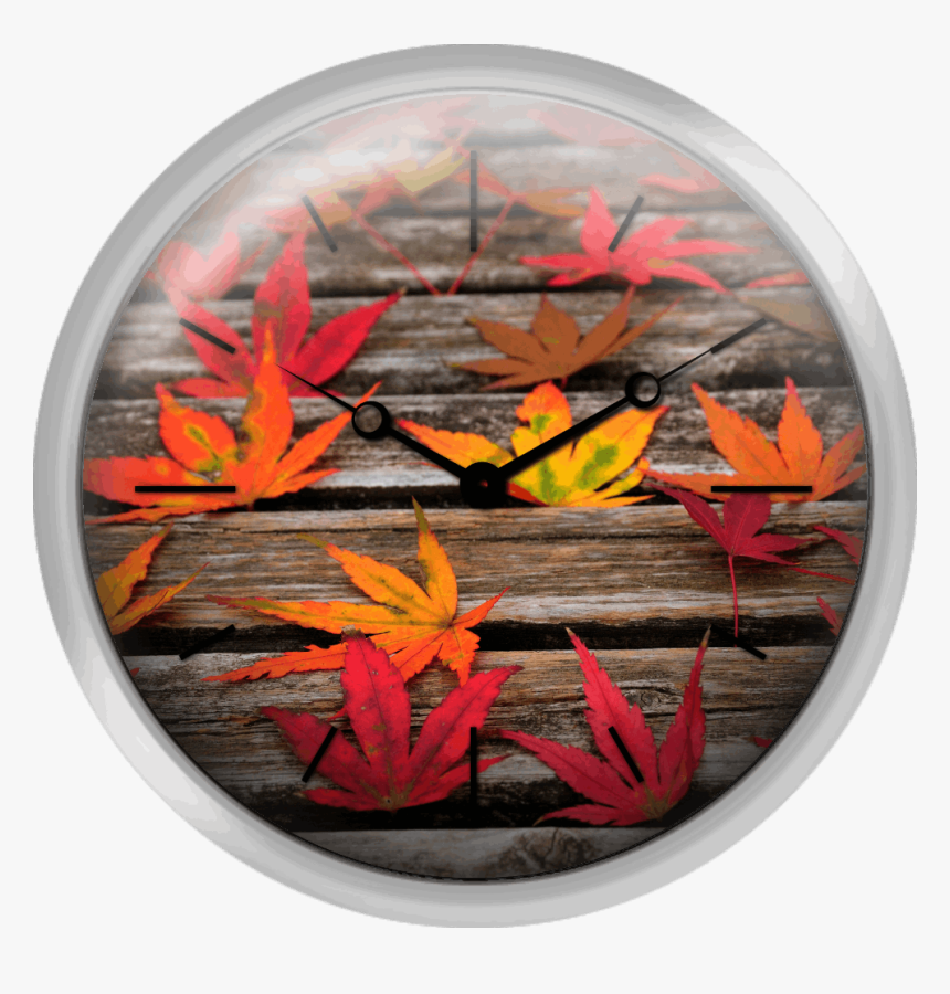 Japanese Maple Leaves - Wall Clock, HD Png Download