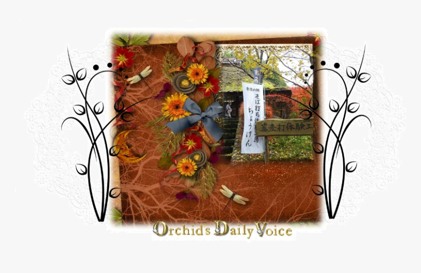 Chrysanths, HD Png Download